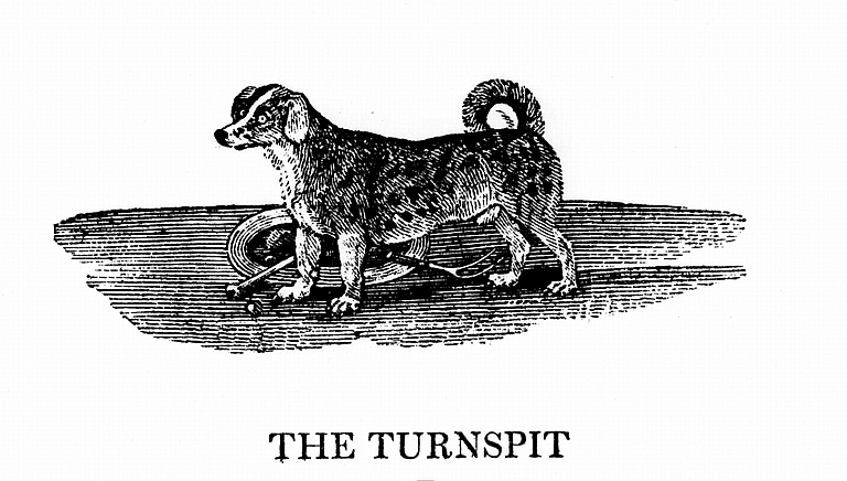 Oldest Dog Breeds - Turnspit