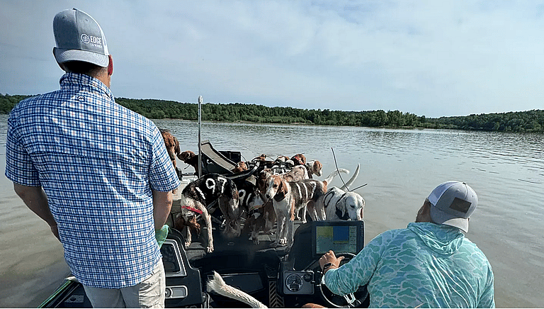 Lost at Sea: The Heart-Stopping Rescue of 38 Hunting Dogs That Almost Ended in Tragedy