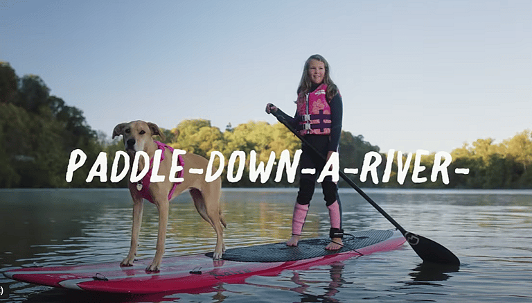 Most Dog-Friendly Vacation Spot in America