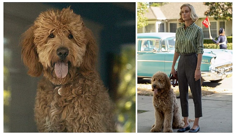 New AppleTV+ Series Uses a Talking Dog as Narrator