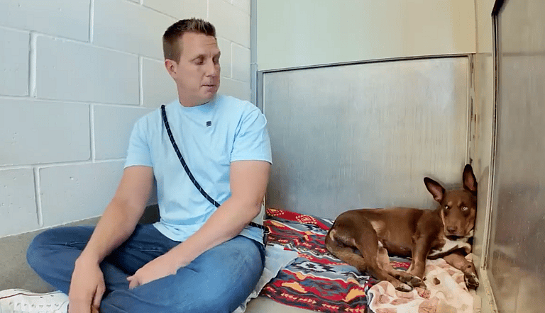 Sitting with dogs 60: Abandoned with Only a Note—Watch How We Help This Scared Dog Find Hope
