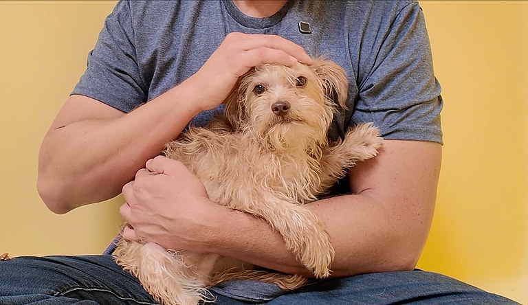 Sitting with Dogs #49 Ramses & Akila