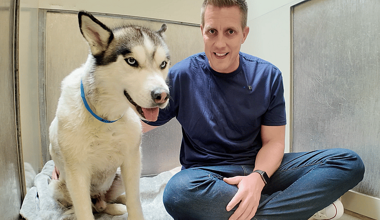 Sitting With Dogs 18: Henry