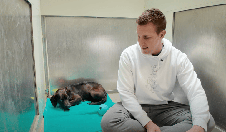 sitting with dogs - Jenny