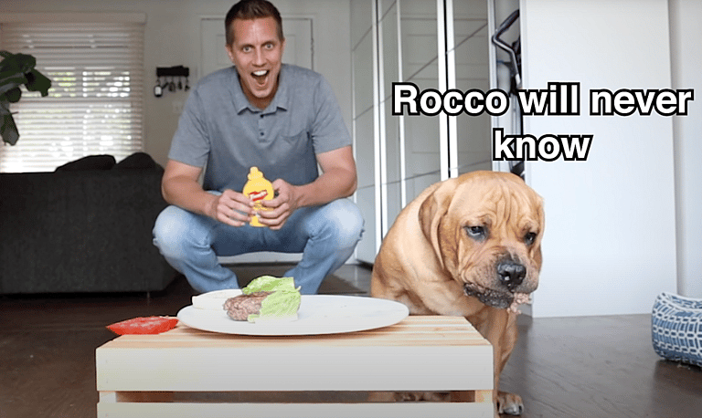 Leave it challenge: Blind Cane Corso Is Left Alone With Juicy Hamburger