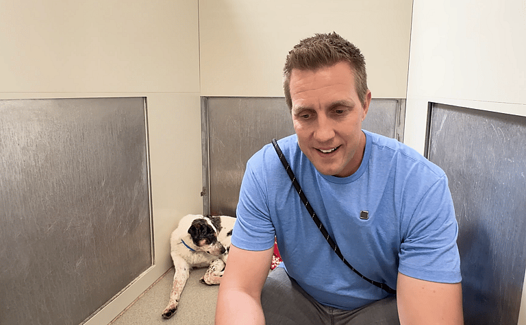 Sitting with dogs 44: How a Few Kind Words Transformed This Fearful Dog Into a Tail-Wagging Sweetheart