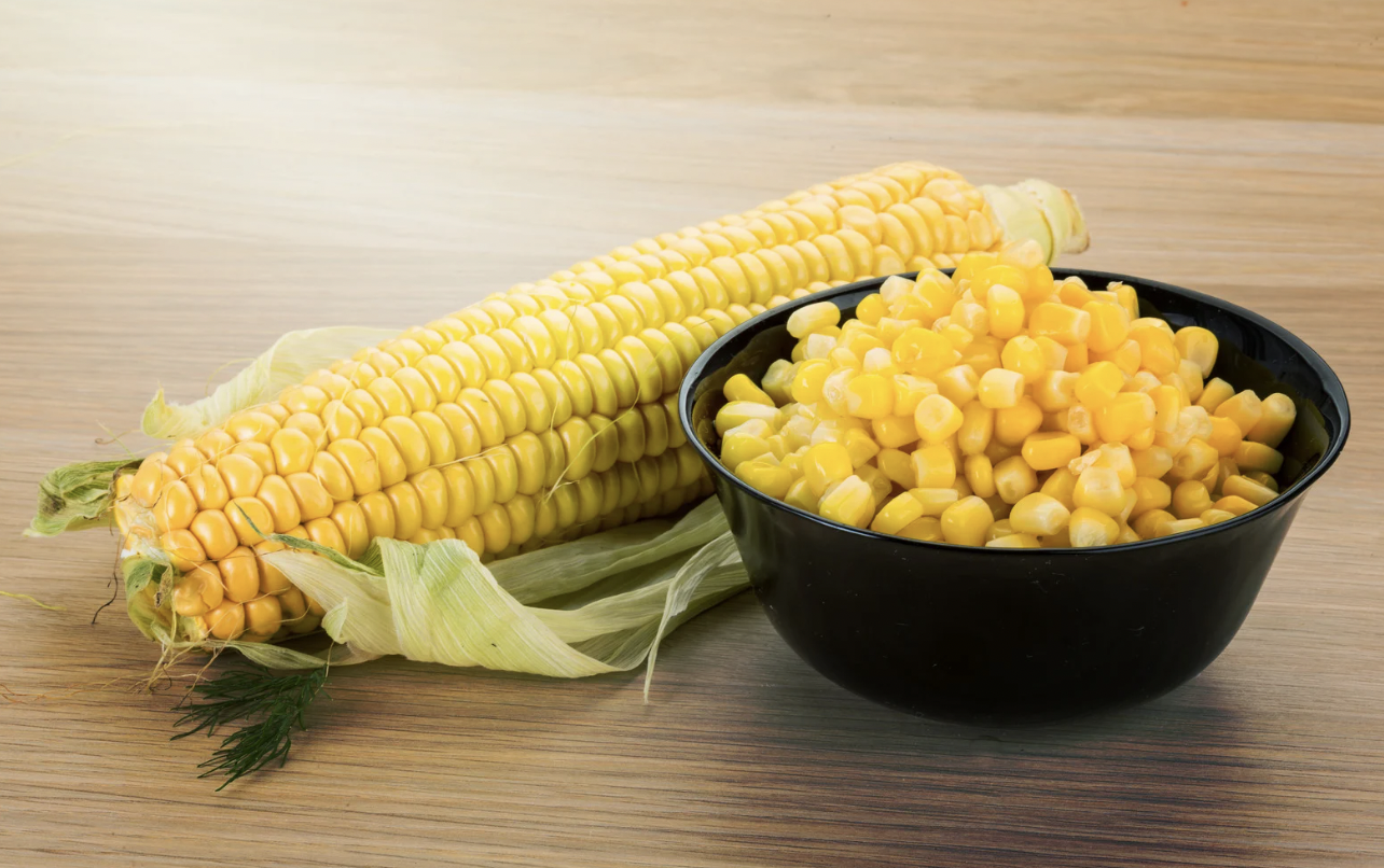 Can Dogs Eat Corn