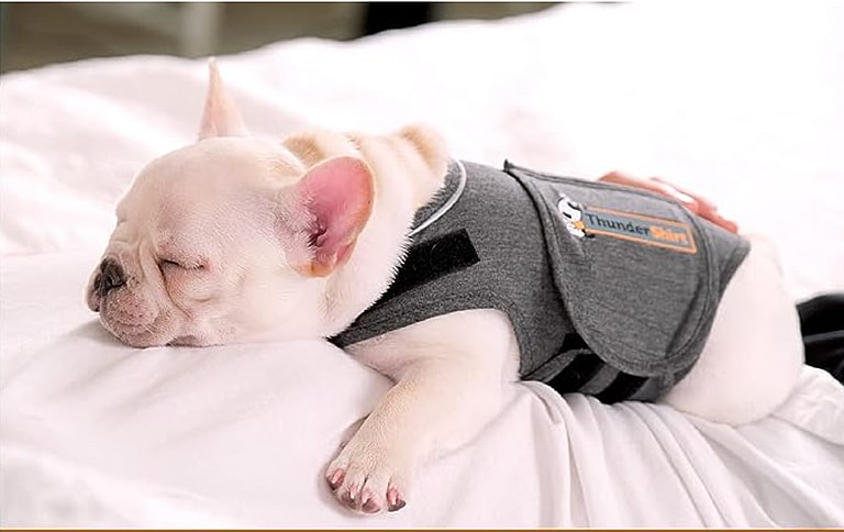 Kennel nose treatment - Thundershirt