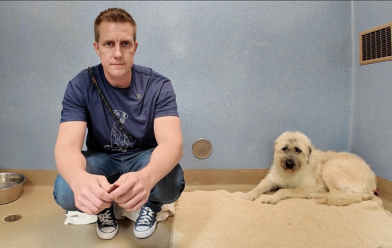 Sitting with dogs 46: Jocka