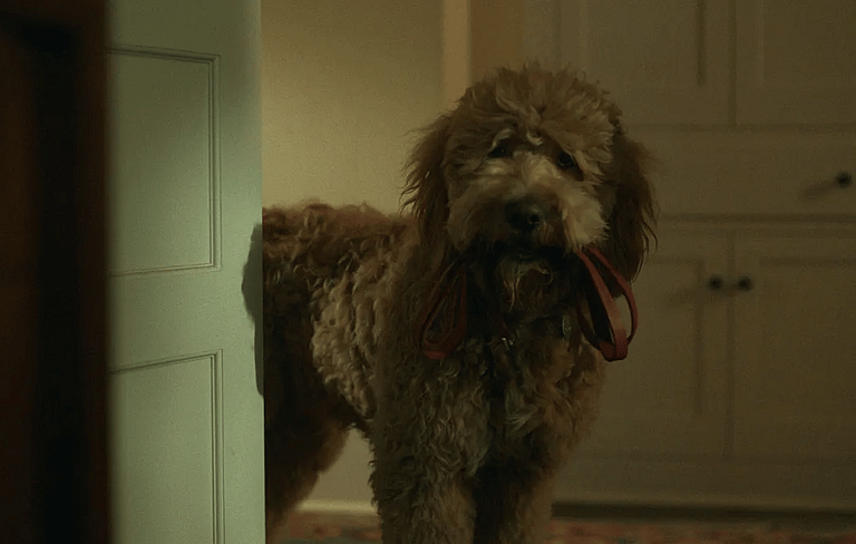 New AppleTV+ Series Uses a Talking Dog as Narrator