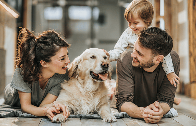 best dog breeds for families