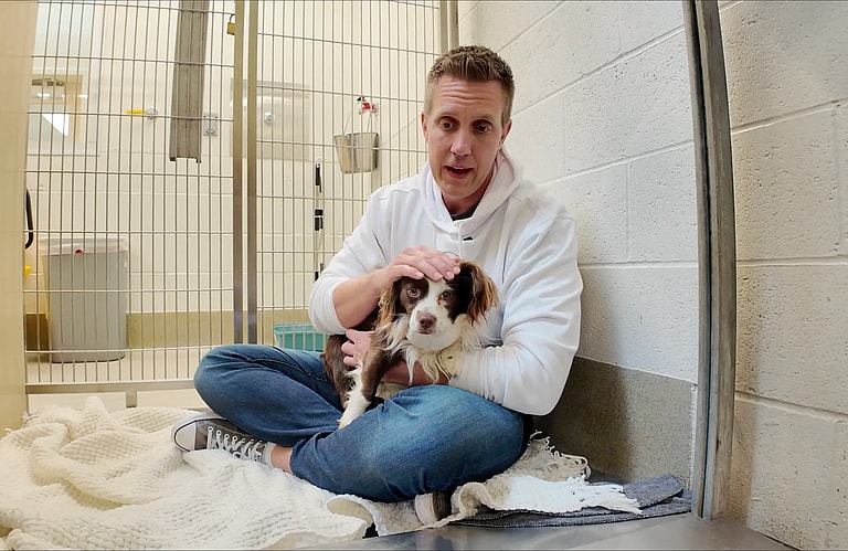sitting with dogs 23: Rocky scooped wilbur