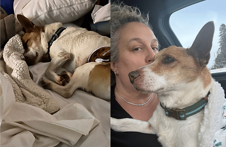 Dog Rescue- 26 Unwanted Special Needs Pups Hit the Jackpot with This Big-Hearted Family