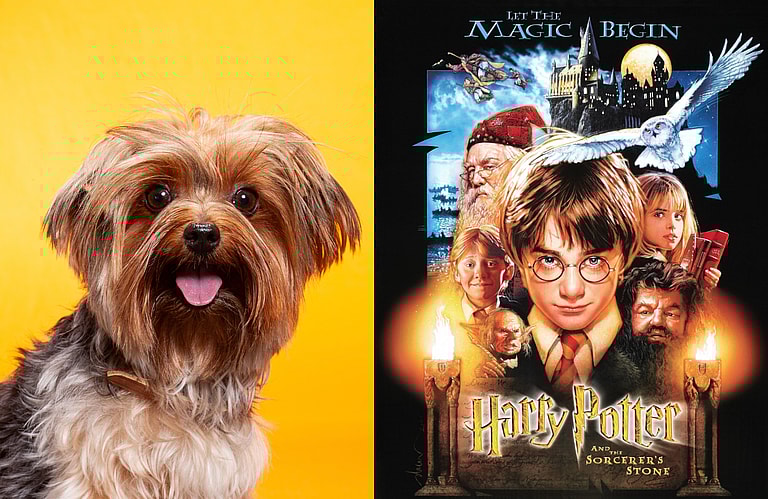 Harry Potter Dog Names
