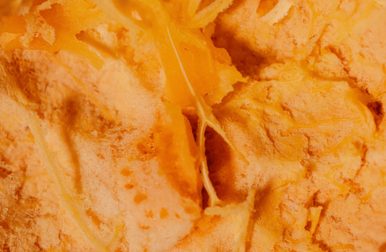 Can Dogs Eat Oranges?