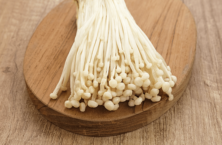 Can Dogs Eat Mushrooms?