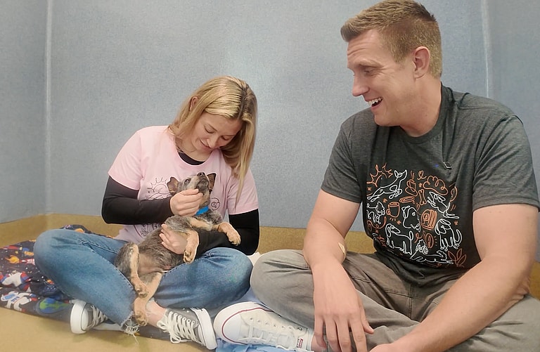 Sitting with Dogs: When a Broken Leg Couldn't Break His Spirit: Shelter Puppy's Resilience Inspires