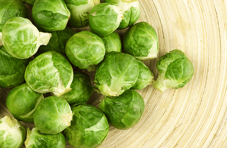 Can Dogs Eat Brussels Sprouts