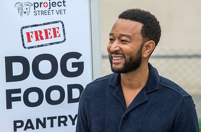 Homeless Pets Can Get Free Food in This California City Thanks to Musician John Legend