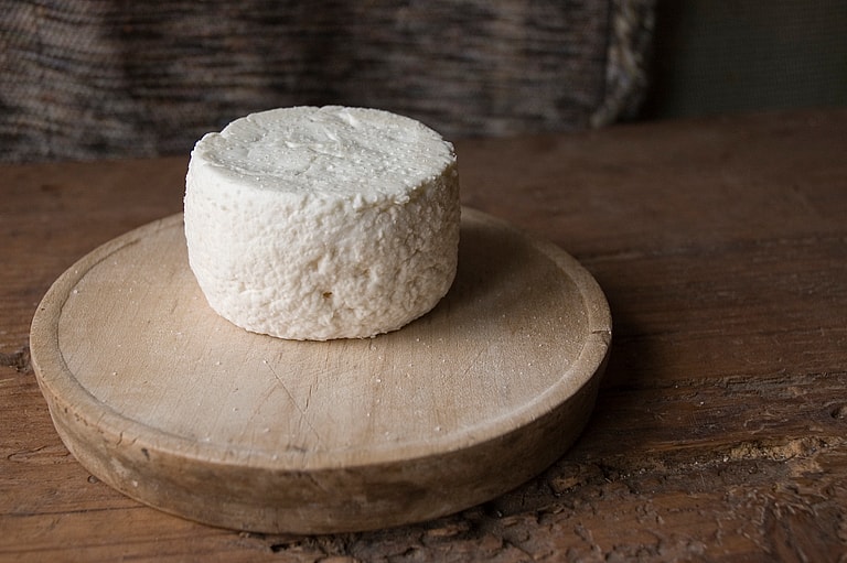 Can Dogs Eat Cheese?