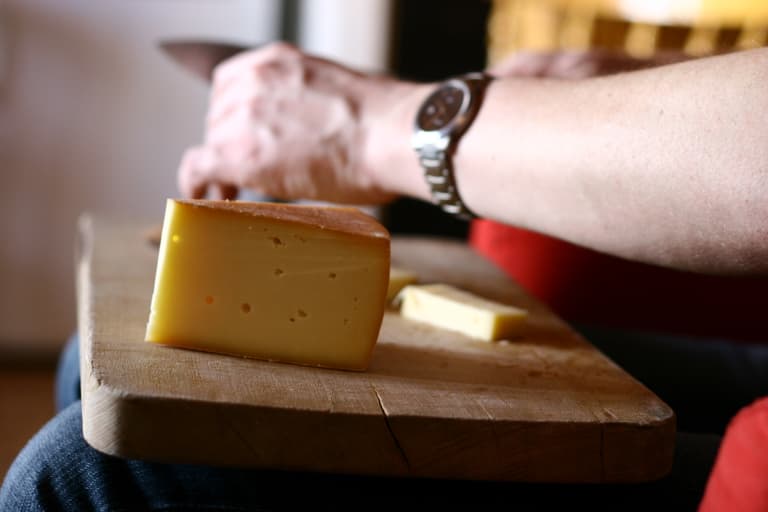 Can Dogs Eat Cheese?