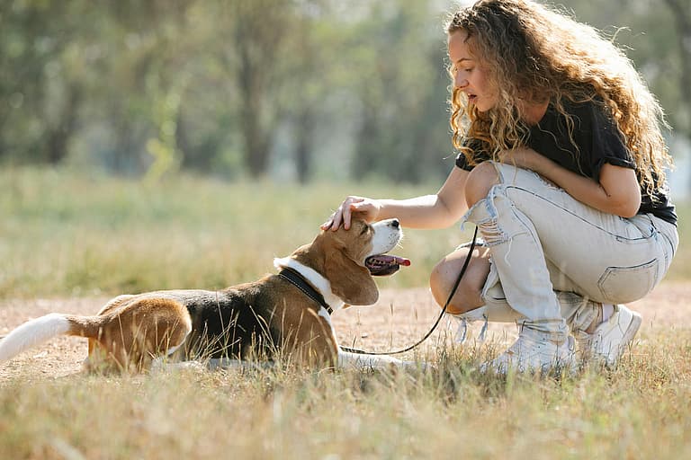 How Long Do Beagles Live?