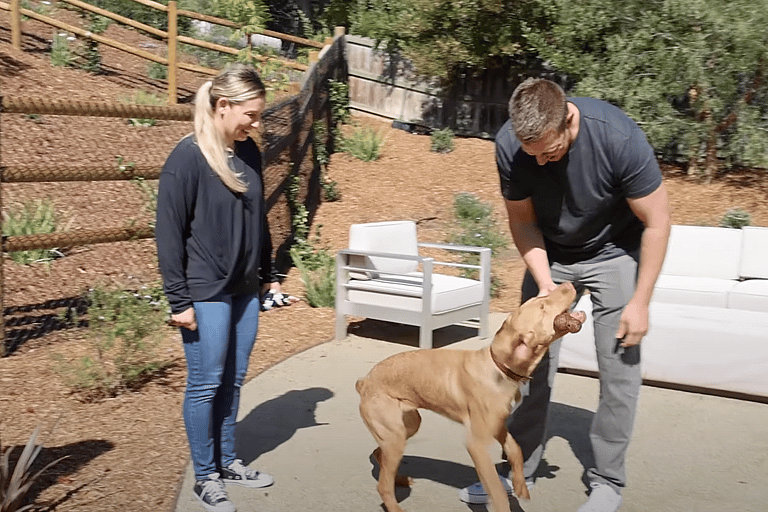 willie remembers his stick