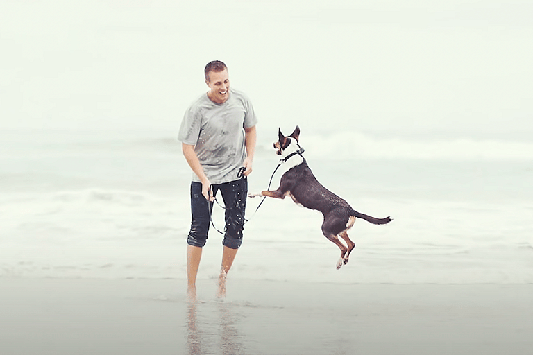 How the ocean lets this blind dog see! 