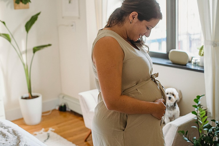 Dog staring at pregnant owner touching her belly, the short answer to the question "can dogs sense pregnancy" is yes