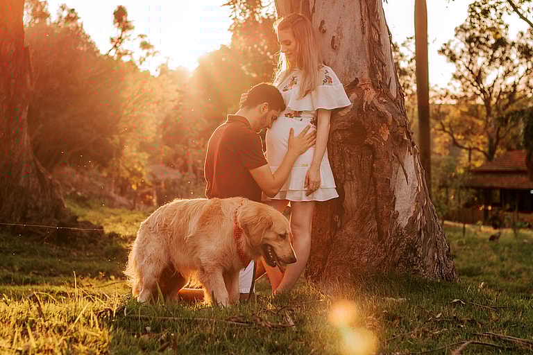 Pregant wife and her partner standing next to a tree with their dog beside them, the short answer to the question "can dogs sense pregnancy" is yes