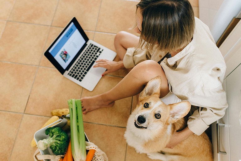 Dog beside human with vegetables