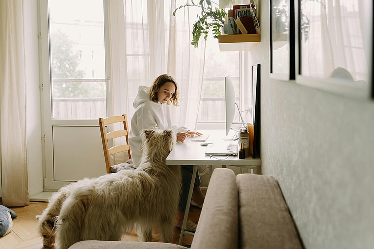 Viral Video Shows Hilarious Reality of Working from Home with Dogs