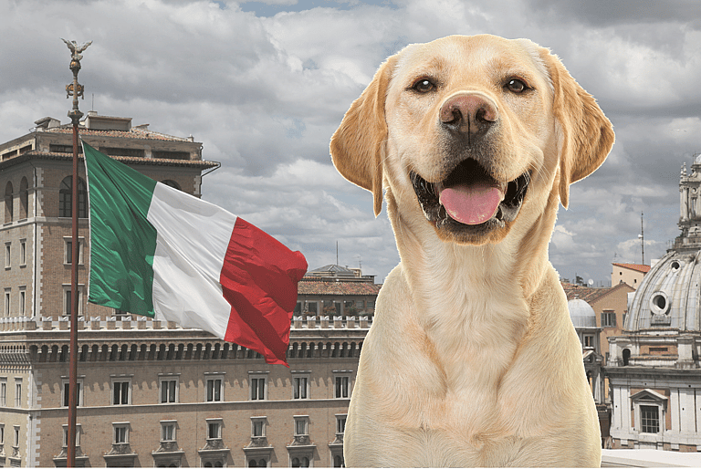 Italian Dog Names