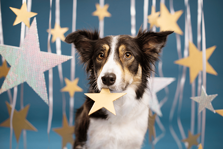 Space Names for Dogs