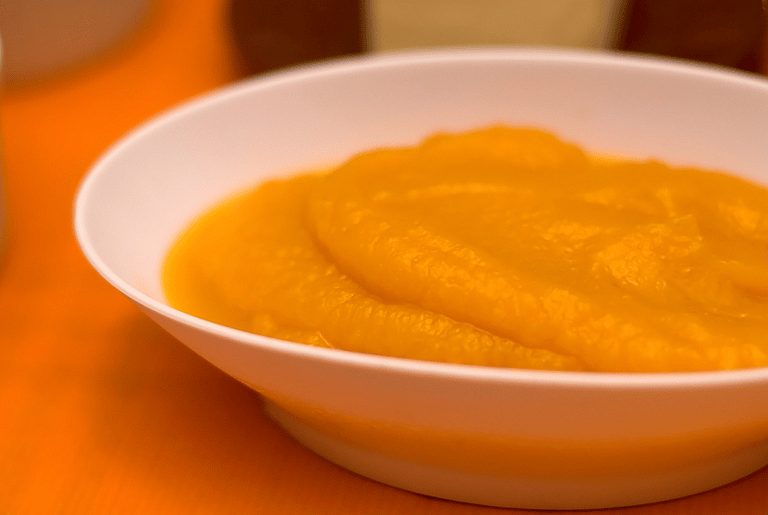 What To Feed a Dog With an Upset Stomach