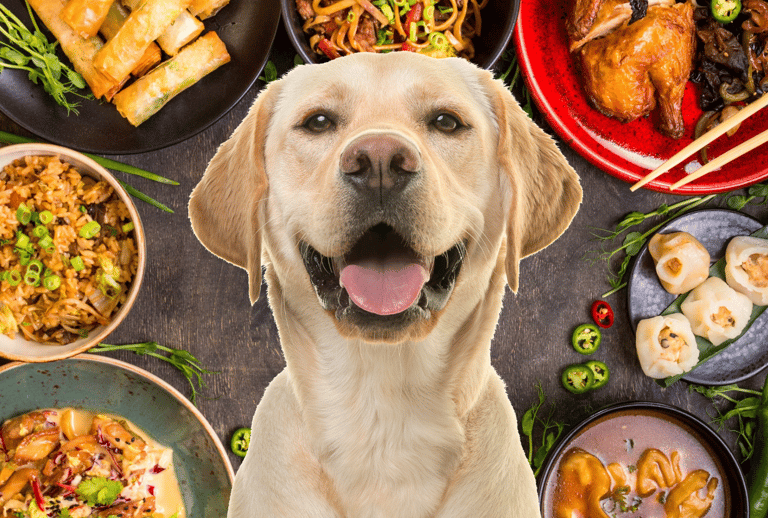 Asian Food-Inspired Names For Dogs