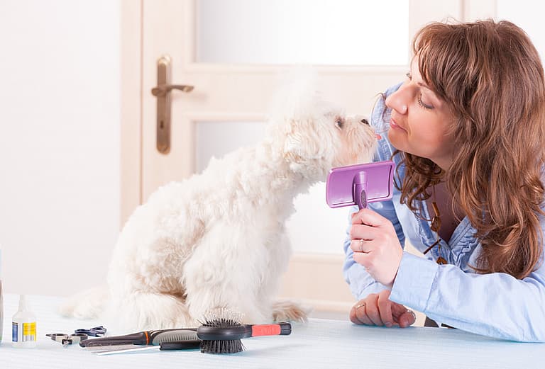 Dog Seasonal Allergies - Brushing Your Dog