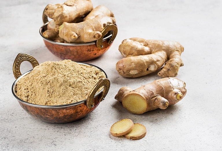 What To Feed a Dog With an Upset Stomach