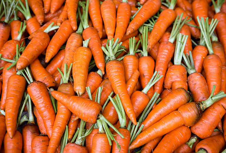 Can Dogs Eat Carrots?