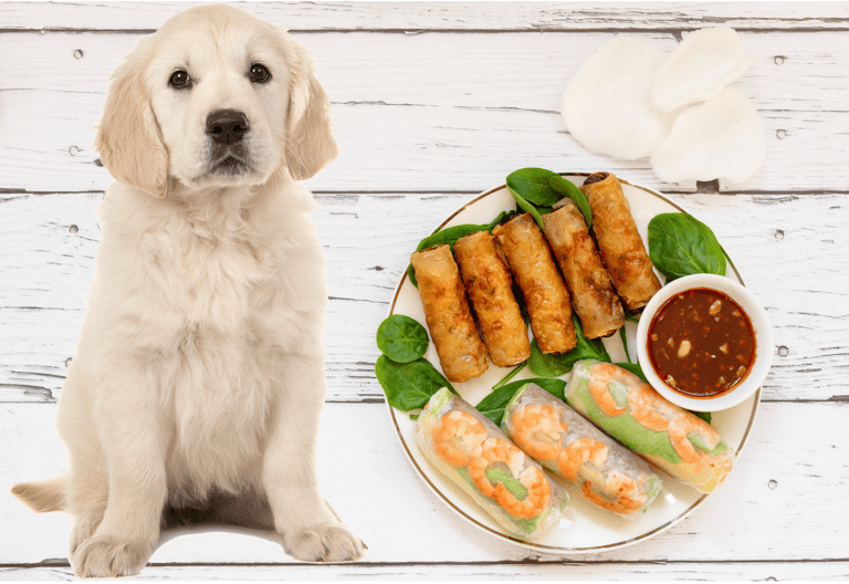 Asian Food-Inspired Names For Dogs