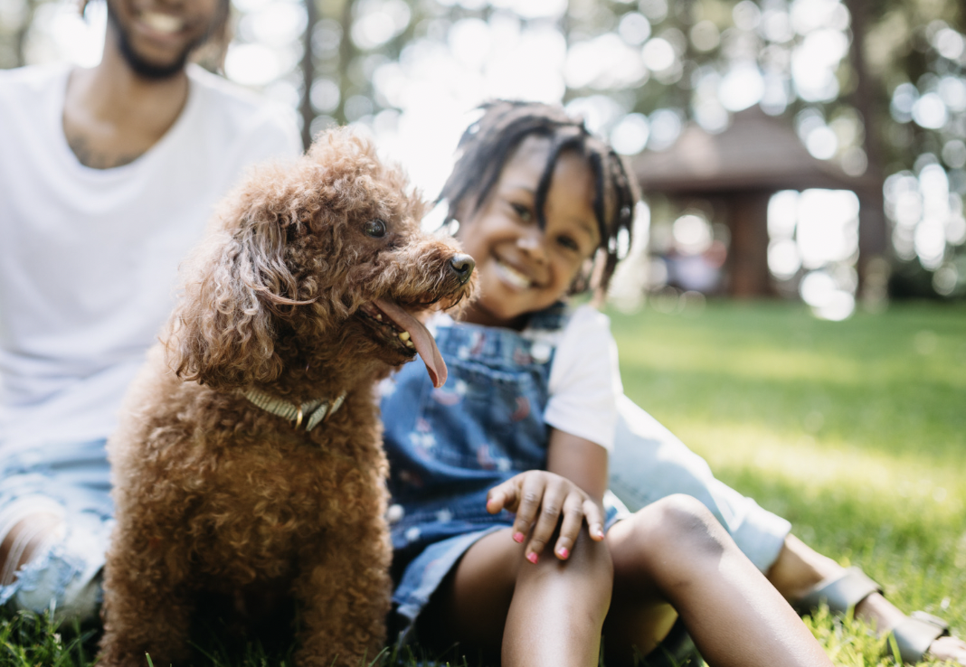 Best Dog Breed For Families With Young Children
