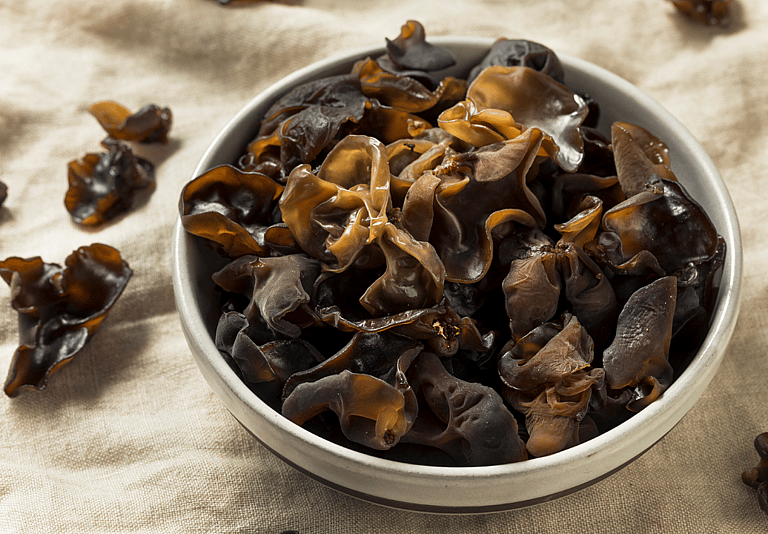 Can Dogs Eat Mushrooms?