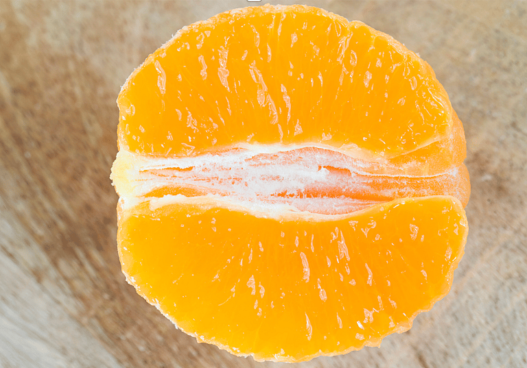Can Dogs Eat Oranges?