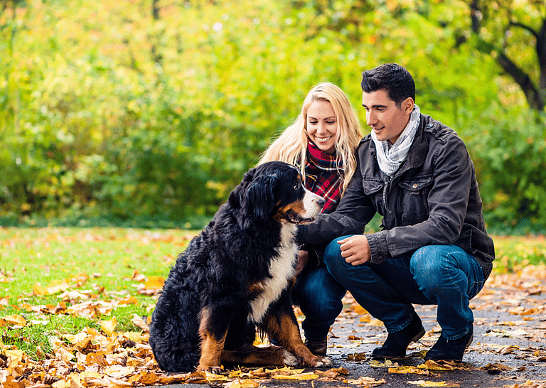 Dog Ownership Can Help Your Dating Life