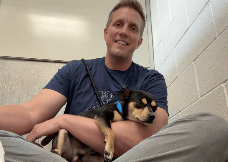 Sitting with dogs #50 Luke
