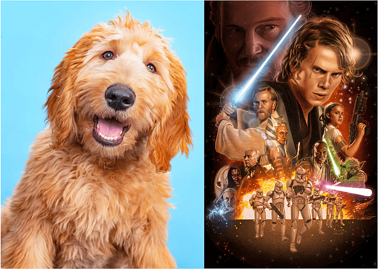 Star Wars Dog Names