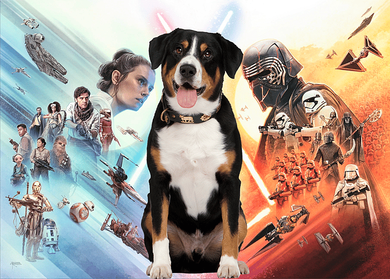 Star Wars Dog Names