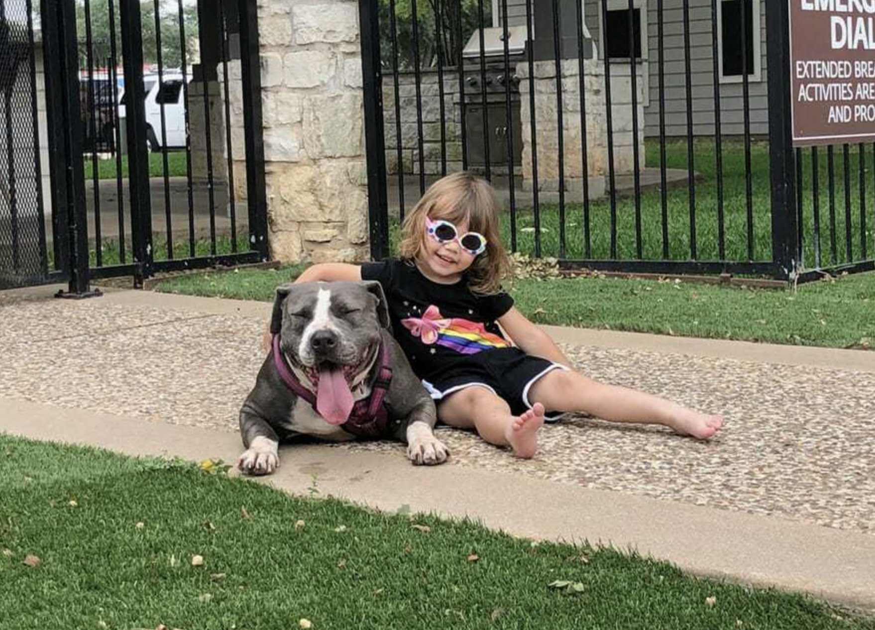 Woman’s Rescue of Pit Bull Scheduled To Live Last Moments Is a Race Against TIme