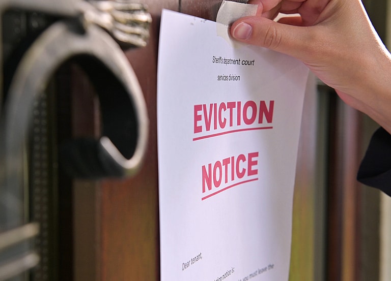 Innocent Pup Pays the Price When Owners Lose Their Home