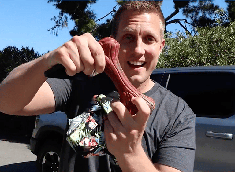 Rocky showing willies favortie toy